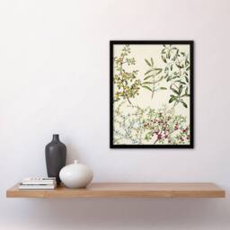 Artery8 New Zealand Coprosma Acerosa Coastal Plant Featon Framed Art Print in Beige - Size: A4 - thumbnail 4