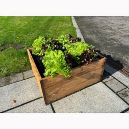 Charles Taylor Multi Pack of 2 - Country Kitchen Large Raised Bed Planter in Light Brown - thumbnail 5