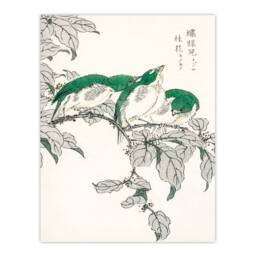 Artery8 Numata Kashu Framed Wall Art Print White Eye & Osmanthus Japan - Size: A4 - thumbnail 3