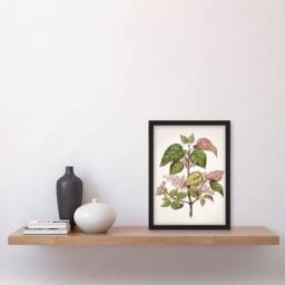 Artery8 Sarah Featon Framed Wall Art New Zealand Makomako Flowering Plant in Beige - Size: A4 - thumbnail 2