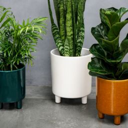 Ivyline Pisa White Planter, H24cm x D20cm - thumbnail 6