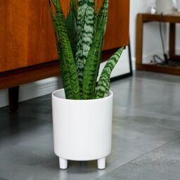 Ivyline Pisa White Planter, H24cm x D20cm