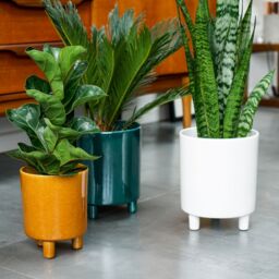 Ivyline Pisa White Planter, H24cm x D20cm - thumbnail 5