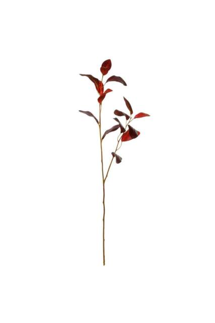 KDMD Glamis Eucalyptus Leaves Chocolate Brown 76cm 3 Pack - image 1