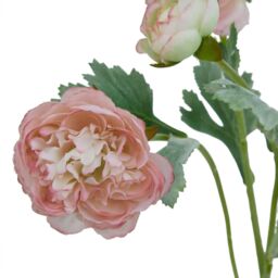 Hill Interiors The Natural Garden Collection Ranunculus Artificial Flower in Baby Pink - thumbnail 3