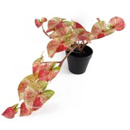 Leaf 35cm Artificial Hanging Trailing Plant Pink Splash Caladium