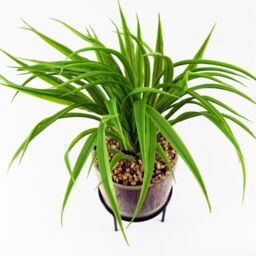 Leaf 35cm Artificial Grass with Ceramic Planter Metal Stand in Green - thumbnail 2