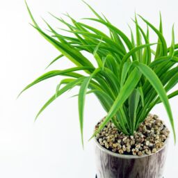 Leaf 35cm Artificial Grass with Ceramic Planter Metal Stand in Green - thumbnail 4