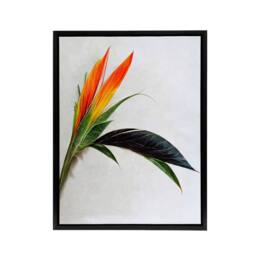 "Artery8 Bird Of Paradise Tropical Flower Framed Canvas Wall Art Print - Size: W12"" x H16""" - thumbnail 1
