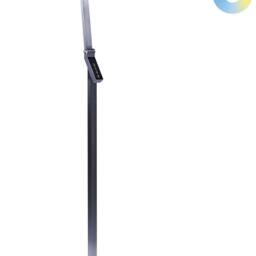 Wyld and Coco LED Floor Lamp 170cm Dark Grey Dimmable Adjustable Colour Temperature - thumbnail 2