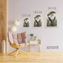 "Artery8 Goshawk & Stanley Hawk Audubon Nature Canvas Wall Art in White - Size: W18"" x H24""" - thumbnail 4