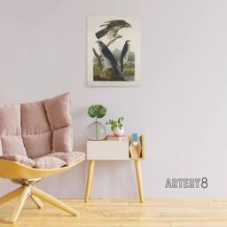 "Artery8 Goshawk & Stanley Hawk Audubon Nature Canvas Wall Art in White - Size: W18"" x H24""" - thumbnail 3