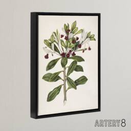 "Artery8 New Zealand Kohuhu & Karo Plant Featon Framed Canvas Wall Art Print in Beige - Size: W24"" x H32""" - thumbnail 2