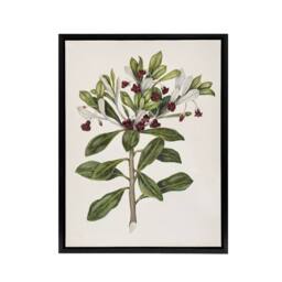 "Artery8 New Zealand Kohuhu & Karo Plant Featon Framed Canvas Wall Art Print in Beige - Size: W24"" x H32""" - thumbnail 1
