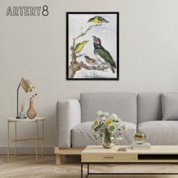 "Artery8 Four Different Birds on a Branch Schouman Framed Canvas Wall Art Print - Size: W12"" x H16""" - thumbnail 3