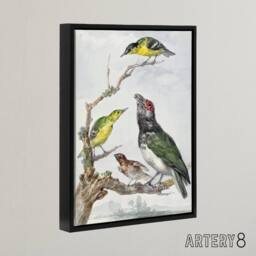 "Artery8 Four Different Birds on a Branch Schouman Framed Canvas Wall Art Print - Size: W12"" x H16""" - thumbnail 2