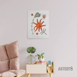 "Artery8 Deep Sea Starfish Marine Life Albert I Canvas Wall Art Print in White - Size: W12"" x H16""" - thumbnail 3
