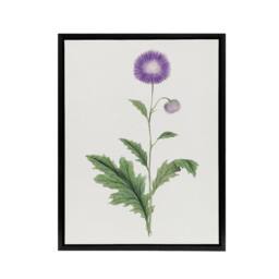 "Artery8 Thistle Flower Framed Canvas Wall Art Print Vintage Japanese Botanical in Purple - Size: W12"" x H16""" - thumbnail 1