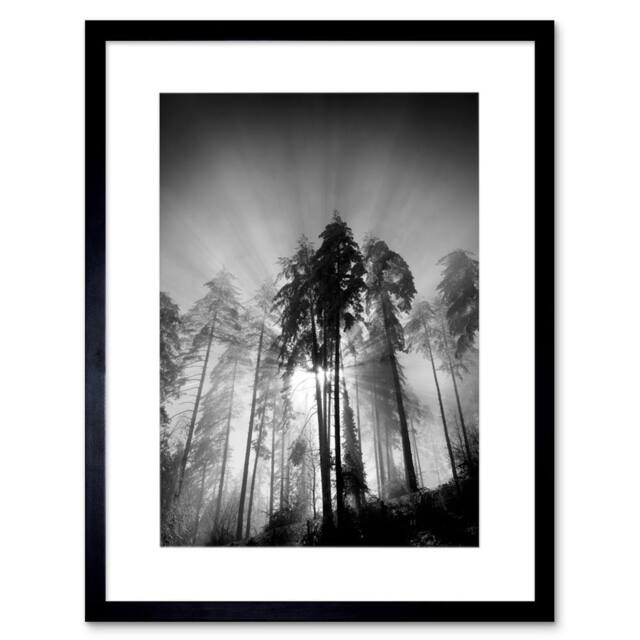 "Artery8 Trees Light Fog Black White Living Room 12x16"" Framed Wall Art in Grey - Size: W12"" x H16""" - image 1