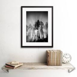 "Artery8 Trees Light Fog Black White Living Room 12x16"" Framed Wall Art in Grey - Size: W12"" x H16""" - thumbnail 2