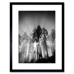 "Artery8 Trees Light Fog Black White Living Room 12x16"" Framed Wall Art in Grey - Size: W12"" x H16""" - thumbnail 1