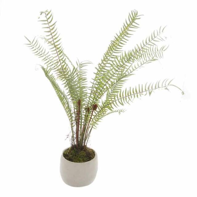 Lemon Pavilion Furniture and Decor White Potted Boston Fern Artificial Plant - Plastic/Stone- Green - image 1