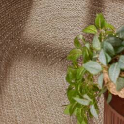 THE RUGS Rangpur Braided Jute Rug & Runner Hand Woven Oval Natural Rug in Brown - Size: 160 cm x 230 cm - thumbnail 7