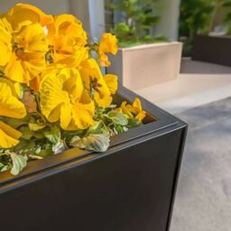 Woven Wood 75cm Long Zinc Galvanised Matte Black 90cm Tall Trough Planter - thumbnail 8