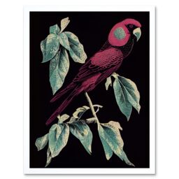 "Artery8 Wall Art Print Burgundy Parakeet Retro Modern Vintage Tropical Jungle Art Framed in White - Size: W12"" x H16"""