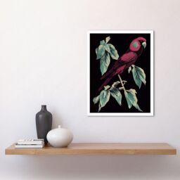 "Artery8 Wall Art Print Burgundy Parakeet Retro Modern Vintage Tropical Jungle Art Framed in White - Size: W12"" x H16""" - thumbnail 2