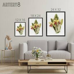 "Artery8 F Sander Cattleya Dowiana Var Chrysotoxum Orchid Framed Canvas Art in White - Size: W12"" x H16""" - thumbnail 4