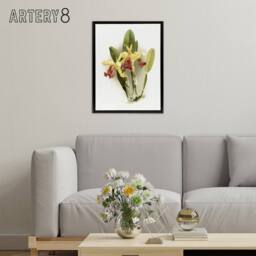 "Artery8 F Sander Cattleya Dowiana Var Chrysotoxum Orchid Framed Canvas Art in White - Size: W12"" x H16""" - thumbnail 3