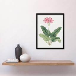 Artery8 Sakura Flower Framed Wall Art Print Vintage Japanese Botanical in Pink - Size: A4 - thumbnail 4