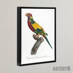 "Artery8 The Rainbow Lorikeet Parrot Levaillant Framed Canvas Wall Art Print in White - Size: W12"" x H16""" - thumbnail 2