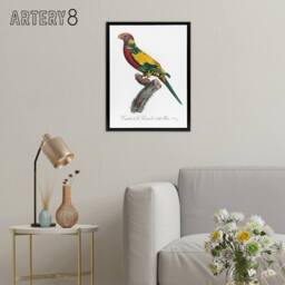 "Artery8 The Rainbow Lorikeet Parrot Levaillant Framed Canvas Wall Art Print in White - Size: W12"" x H16""" - thumbnail 3