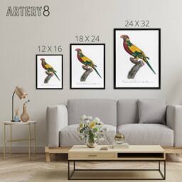 "Artery8 The Rainbow Lorikeet Parrot Levaillant Framed Canvas Wall Art Print in White - Size: W12"" x H16""" - thumbnail 4