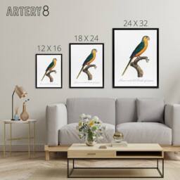"Artery8 The Yellow Fronted Parakeet Levaillant Framed Canvas Wall Art Print in White - Size: W12"" x H16""" - thumbnail 4
