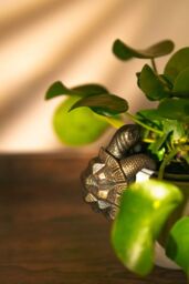 Marco Paul Tortoise Plant Pot Hanger Weather Proof in Bronze - thumbnail 3