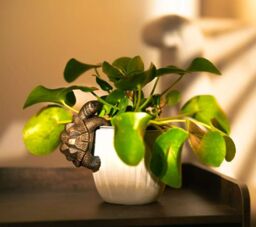 Marco Paul Tortoise Plant Pot Hanger Weather Proof in Bronze - thumbnail 2