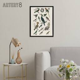 "Artery8 Various Birds Illustration Goldsmith Black Framed Canvas Wall Art in White - Size: W12"" x H16""" - thumbnail 3
