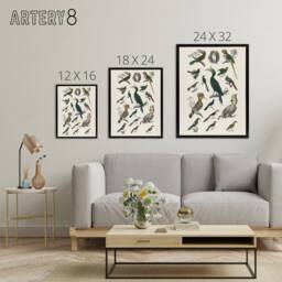 "Artery8 Various Birds Illustration Goldsmith Black Framed Canvas Wall Art in White - Size: W12"" x H16""" - thumbnail 4