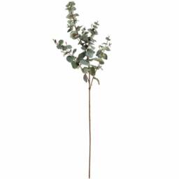 Lemon Pavilion Furniture and Decor Variegated Eucalyptus Artificial Plant - L27 x W15 x H98 cm - Green - thumbnail 6
