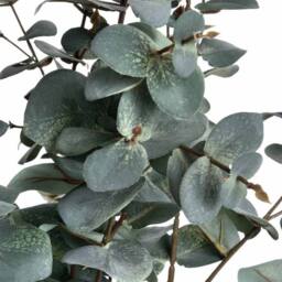 Lemon Pavilion Furniture and Decor Variegated Eucalyptus Artificial Plant - L27 x W15 x H98 cm - Green - thumbnail 5