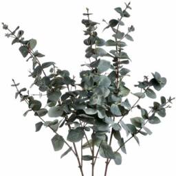 Lemon Pavilion Furniture and Decor Variegated Eucalyptus Artificial Plant - L27 x W15 x H98 cm - Green - thumbnail 4