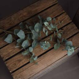 Lemon Pavilion Furniture and Decor Variegated Eucalyptus Artificial Plant - L27 x W15 x H98 cm - Green - thumbnail 2