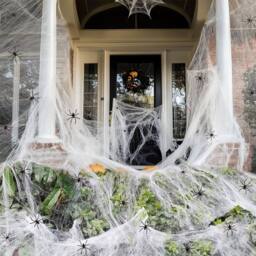 Lovii Halloween Cotton Spider Web with 60PCS Fake Spiders Decoration in White - thumbnail 2