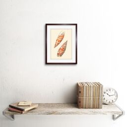"Artery8 Wall Art Print Seashell Orange Spotted Conical Art Framed 9x7 inch in Brown - Size: W7"" x H9""" - thumbnail 2