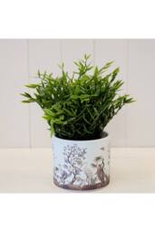 KDMD White Indoor Plant Pot 11cm - thumbnail 3