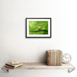 "Artery8 Wall Art Print Cute Snail Rain Art Black Framed 9x7 inch - Size: W7"" x H9""" - thumbnail 2
