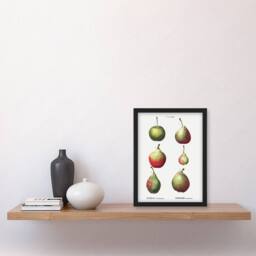 "Artery8 Pear Fruit Varieties Redoute Vintage Framed Wall Art Print in White - Size: W12"" x H16""" - thumbnail 4